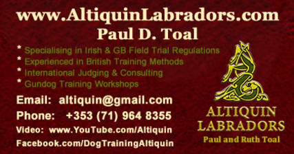 Business Card of Altiquin Labradors by Paul D. Toal  -  Tel: +353 (0) 71 964 8355 