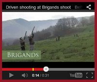 Driven Pheasant Shooting at The Brigands - Wales