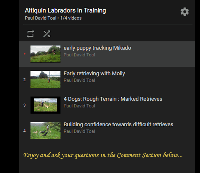 ALTIQUIN Labradors in Training Playlist in Youtube - 18-August-2016