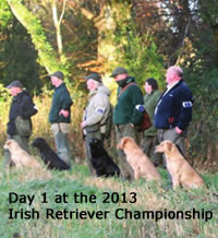 FTCH ALTIQUIN RIPPLE bred, trained and handled by Paul Toal - No. 12 - Day 1 of the 2013 Irish Retriever Championship 2013