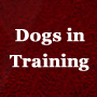 Dogs in a Training Regime
