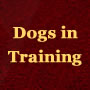 Dogs in a Training Regime