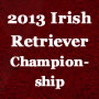 2013 Irish Retriever Championship