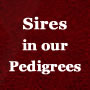 Sires in Our Pedigree